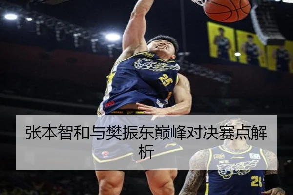 张本智和与樊振东巅峰对决赛点解析